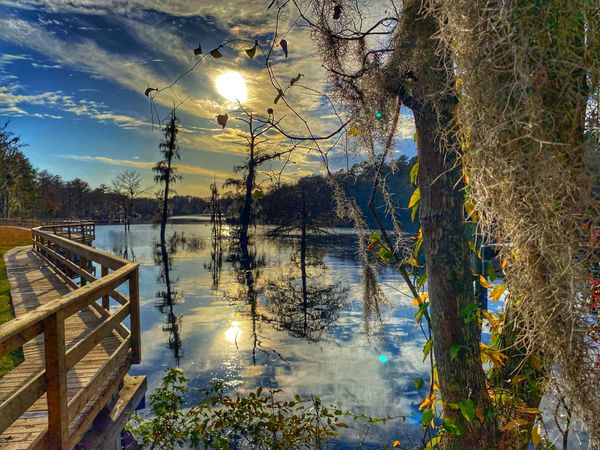 Waccamaw River (November 2020)