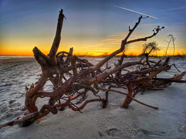Huntington Beach State Park (November 2020)
