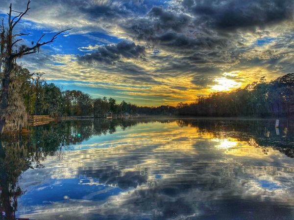 Waccamaw River (November 2020)