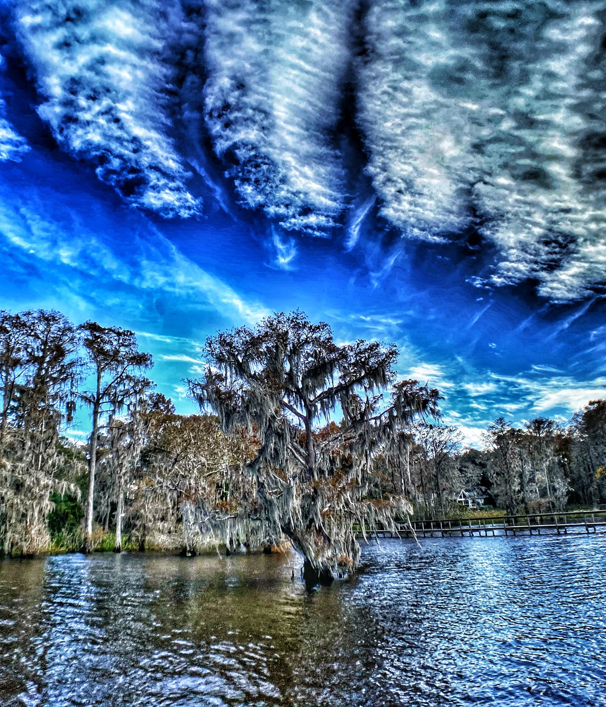 Waccamaw River (November 2020)