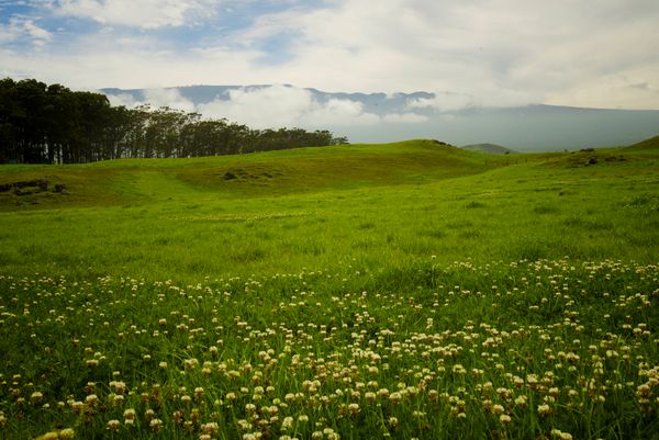 Parker Ranchland, Hawaii