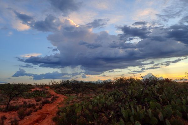 Arizona Desert Morning Shower