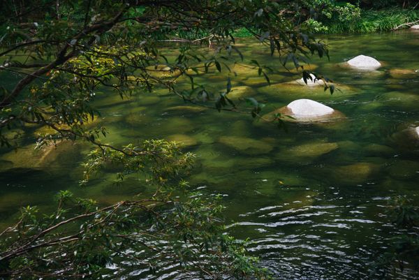 Mossman River, Queensland, Australia