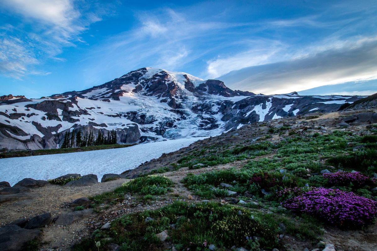Mt Rainier