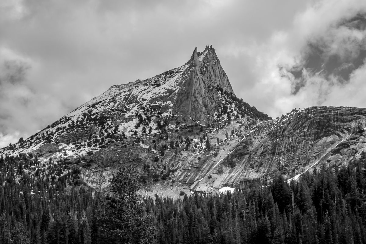 Ansel Adams