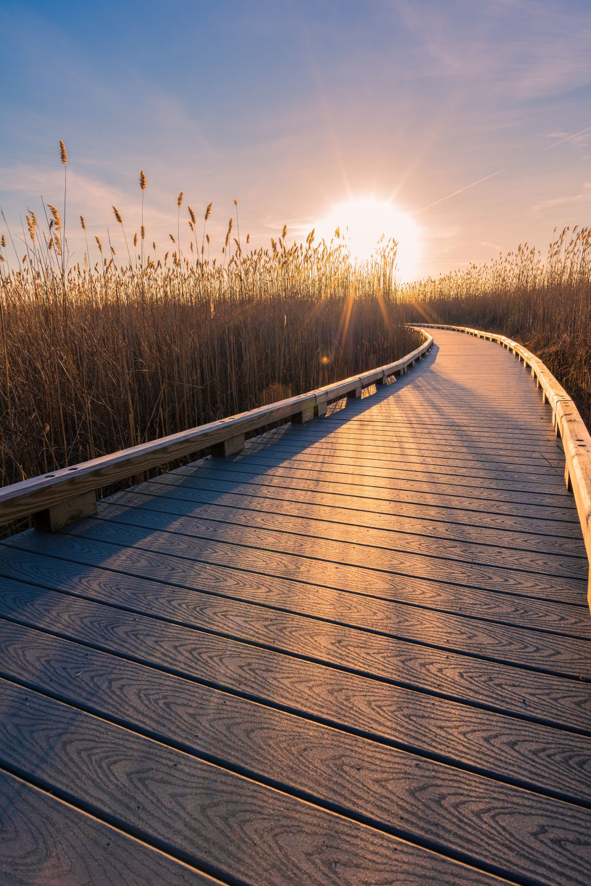 Plum Island Boardwalk