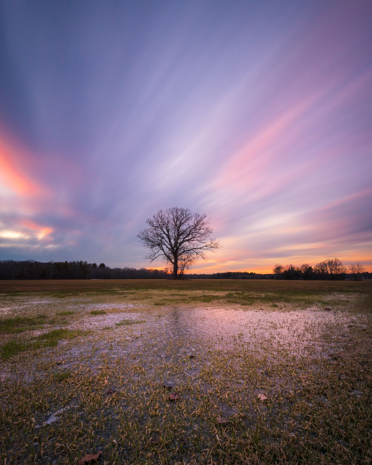 Landscapes 8:10