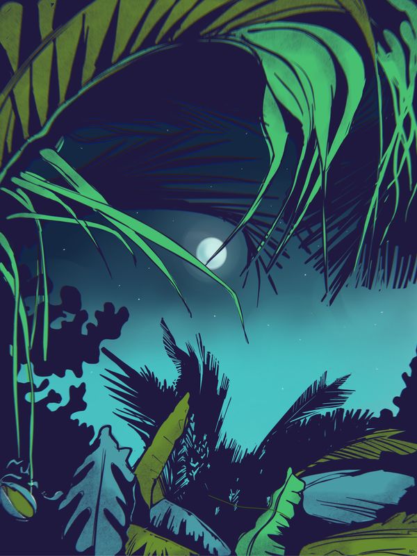 Tropical One