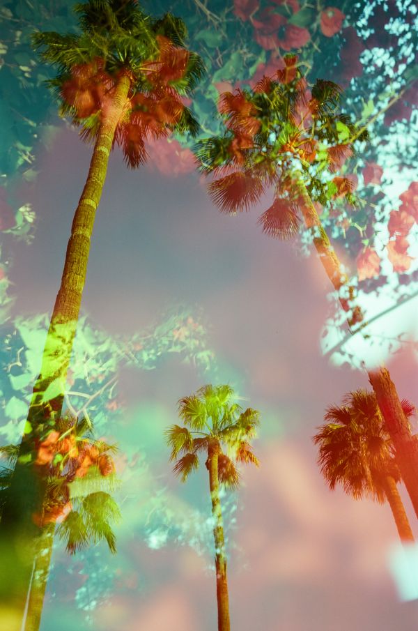 An Accidental Dream
