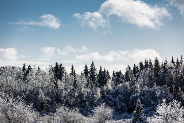 Icicles I