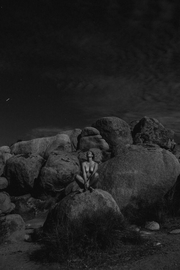 Lit Up By The Moon