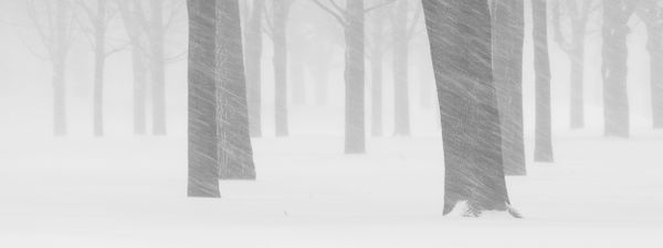 Blinding Winter Storm