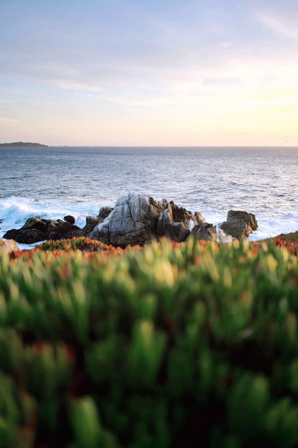PACIFIC