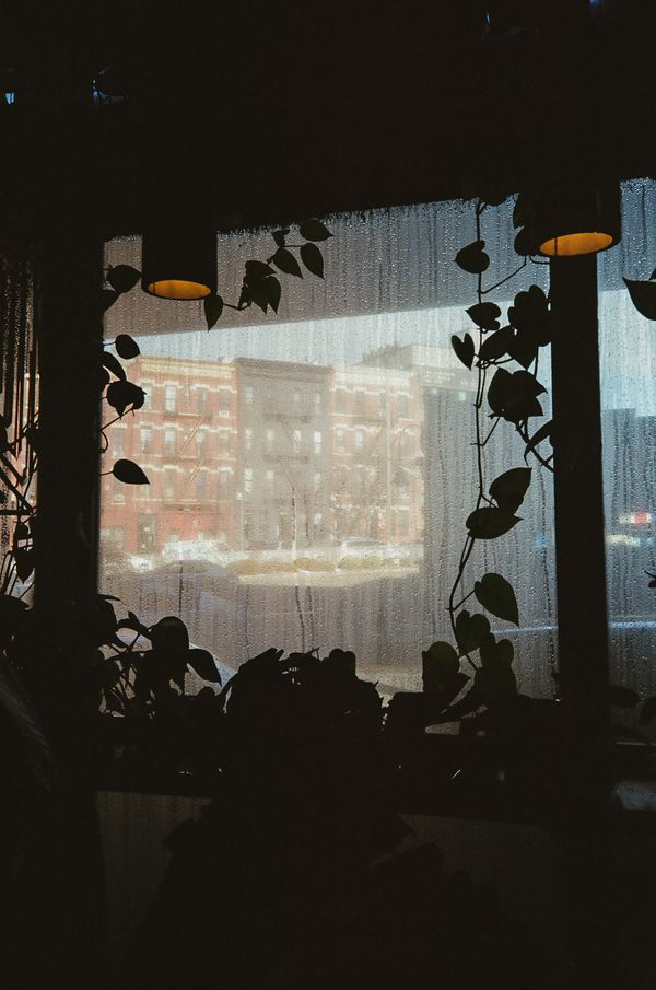 Rainy Day In Brooklyn