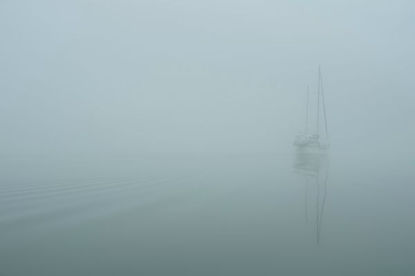 Charleston Fog