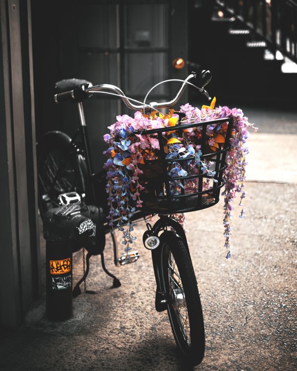 Quaint