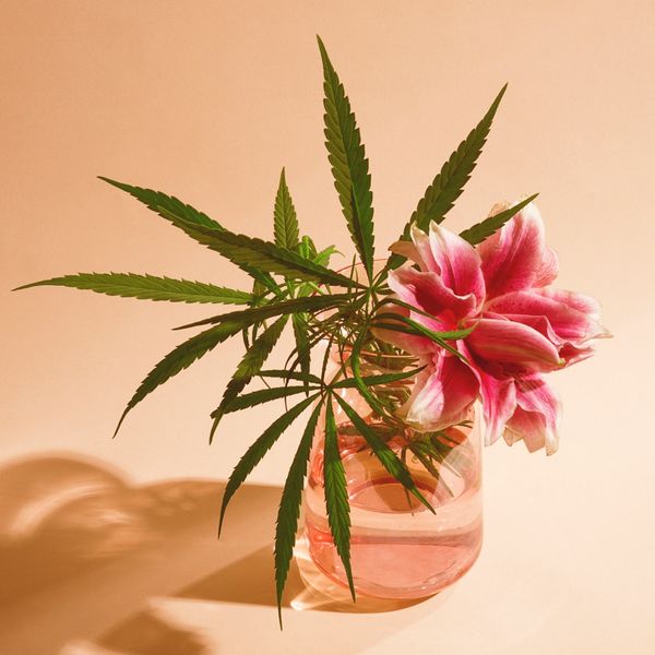 Bloom