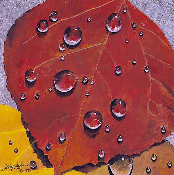 ROCKY MOUNTAIN AUTUMN ASPEN - RED