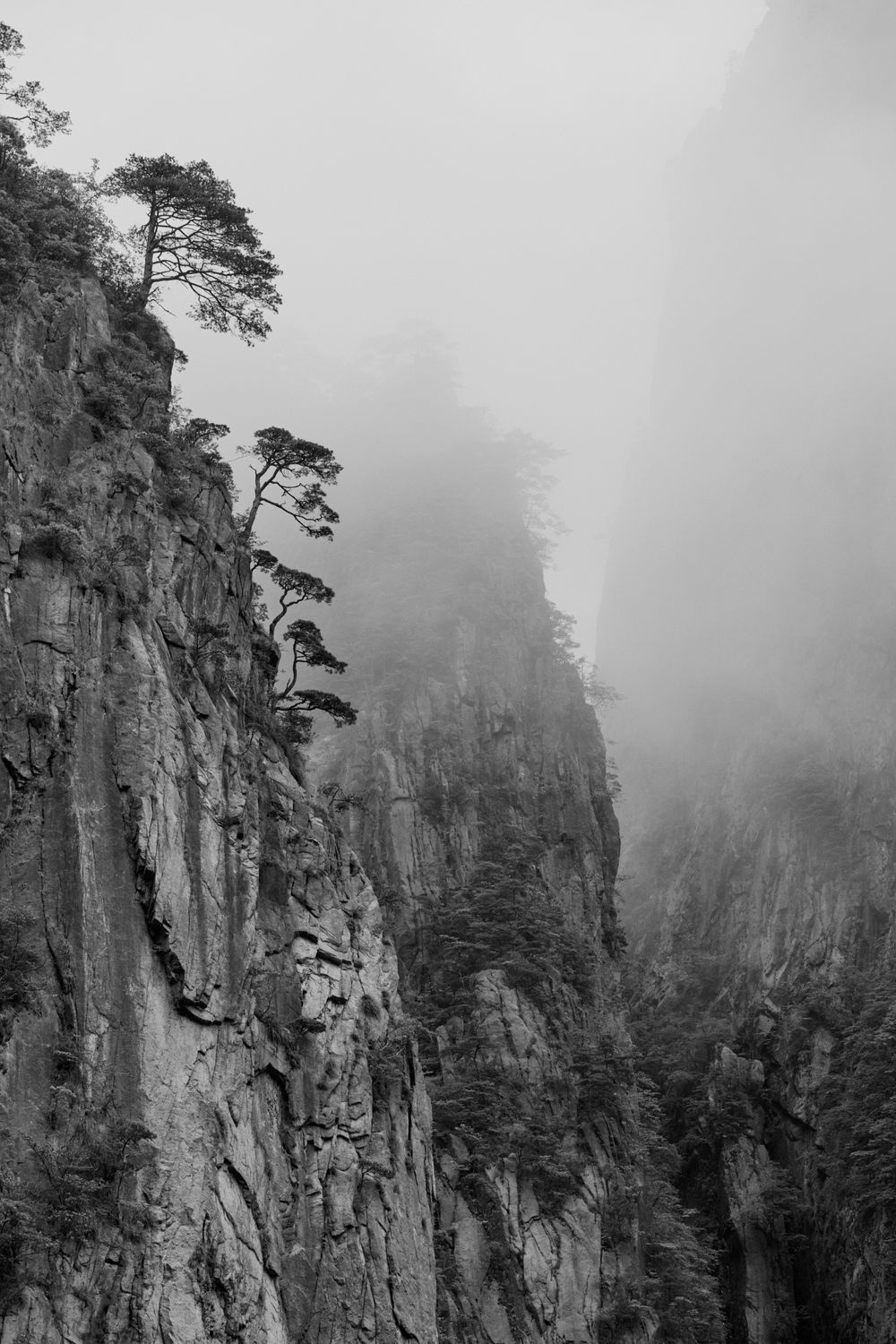 Yellow Mountain Monochrome