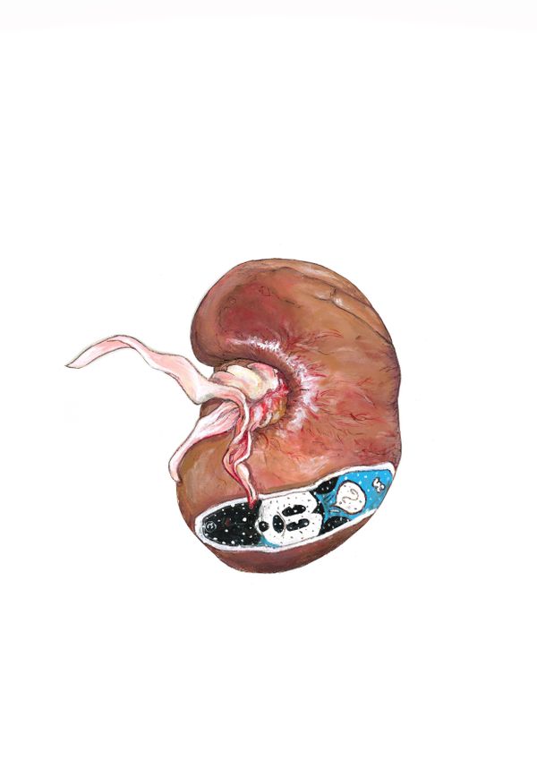 Helaing - Kidney