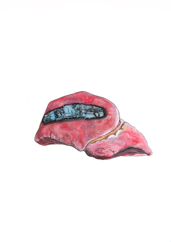 Healing - Liver