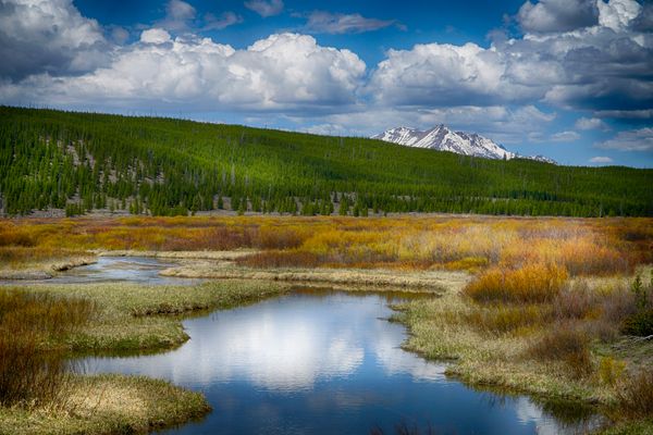 Creek meandering through Yellowstone National Park