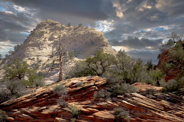 Zion National Park