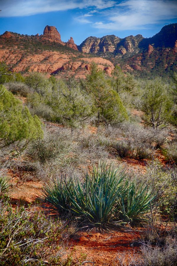Sedona desert landscape