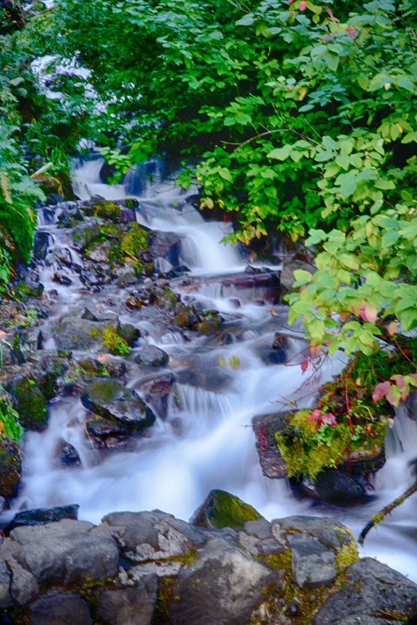 Wahkeena Falls in Spring