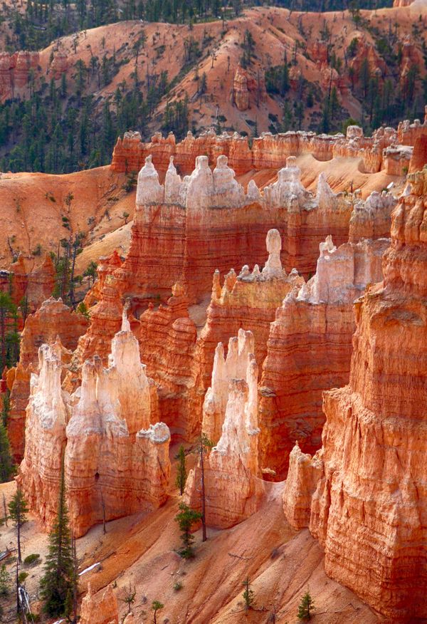 Bryce Canyon Hoodoos