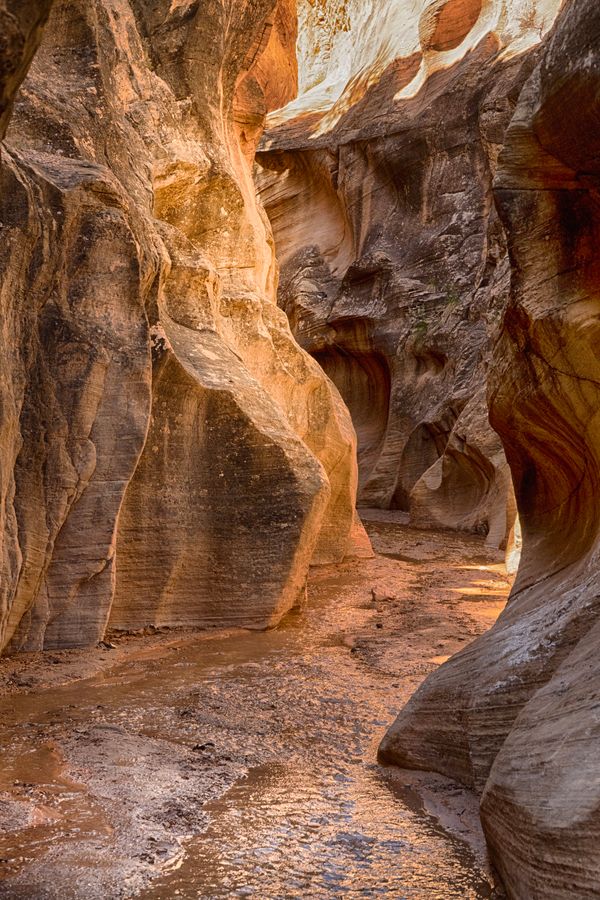 Willis Canyon