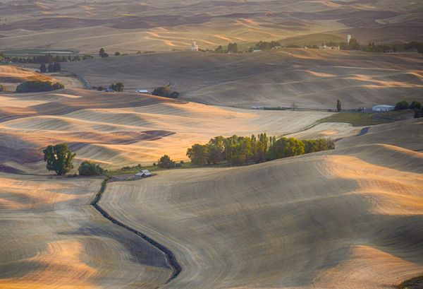 Harvest Completed