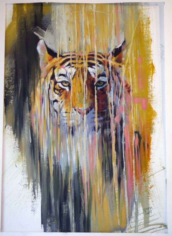 Hidden Tiger by Emma Swift