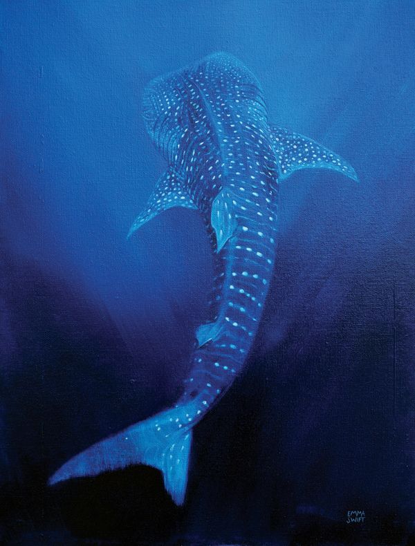 Whale Shark by Emma Swift