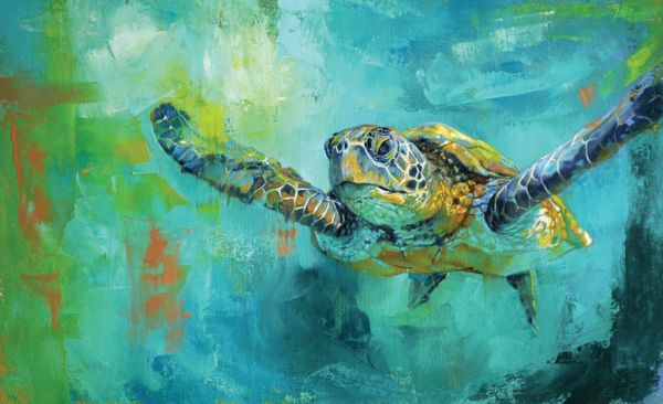 Turtle by Emma Swift