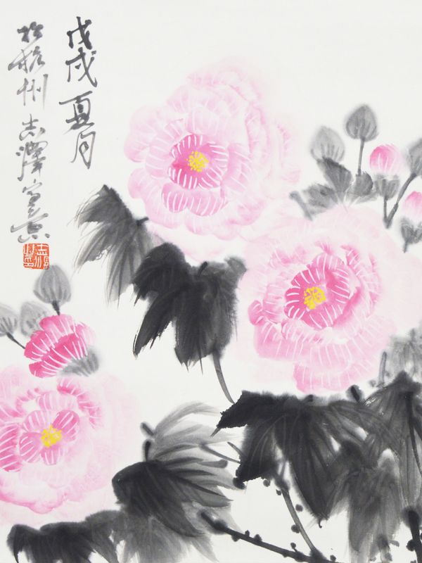 Hibiscus Arborescens