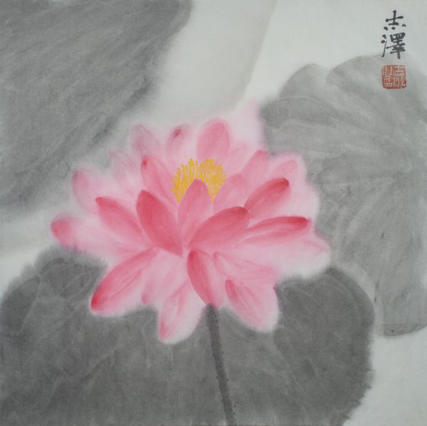 Water Lily