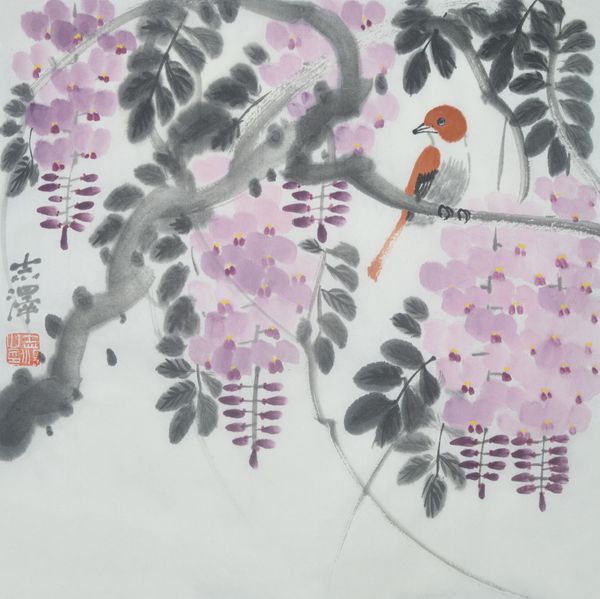 Wisteria