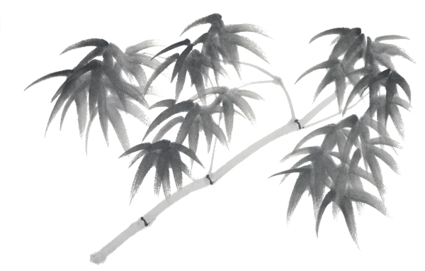 Ink Bamboo 2