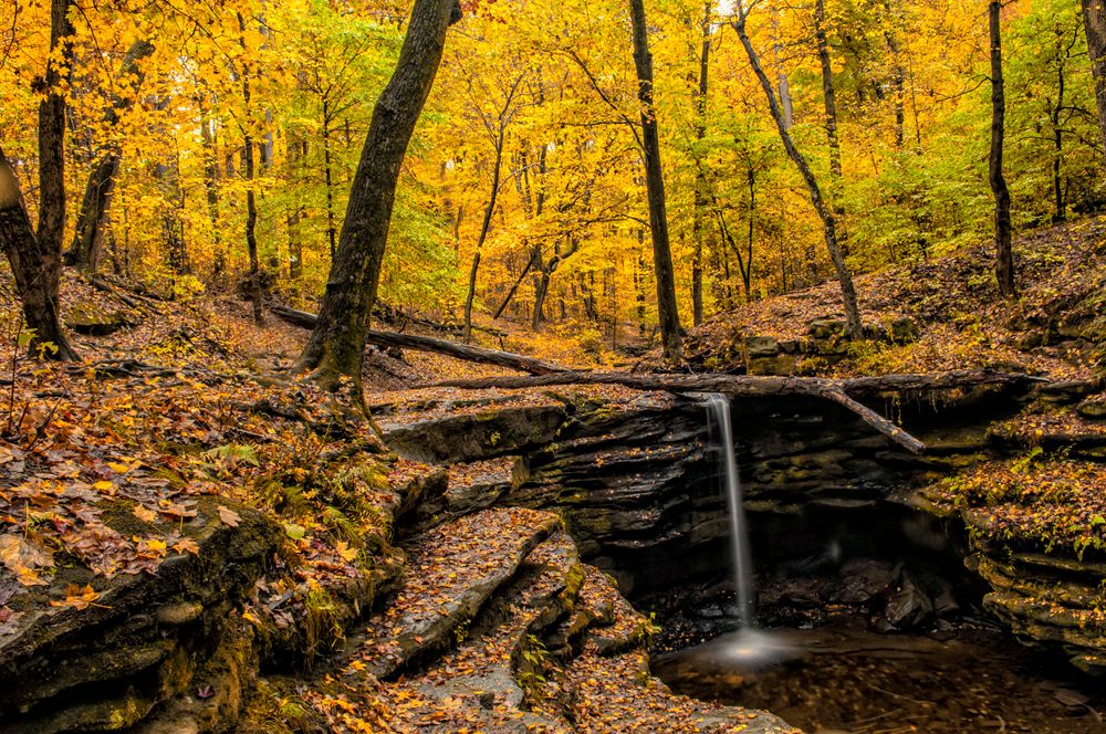 Dundee Falls in Fall