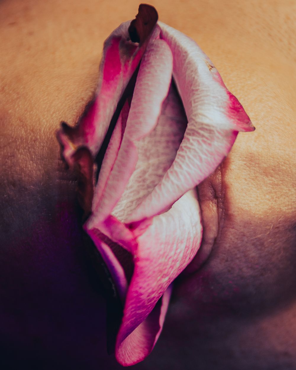 The Simplistic Beauty of the Vulva - Photo 29