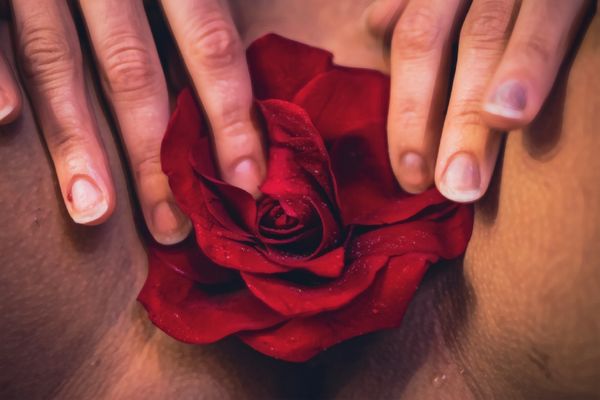 Simplistic Beauty of the Vulva