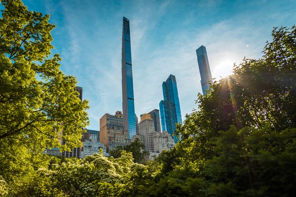 New York from Central Park