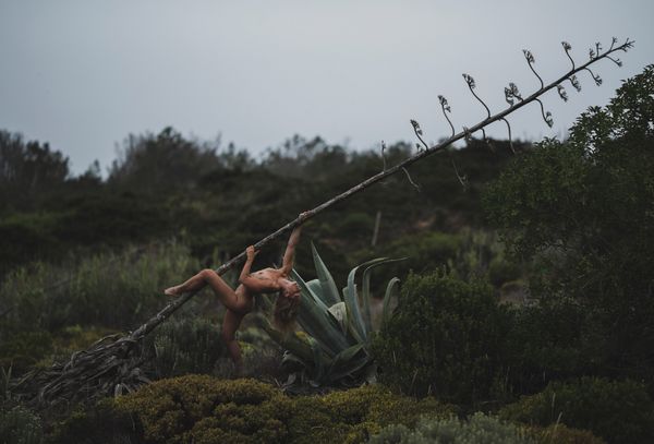 Dancing with the Agave Plant | Nude Photography Erotic Art Poster | Algarve, Portugal