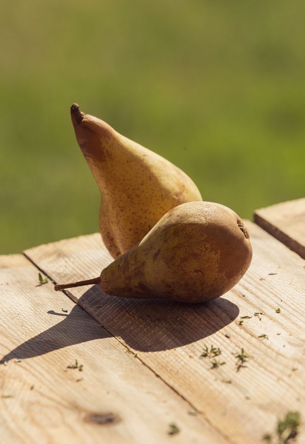 Still Life Pairs in the Umbrian Sunshine
