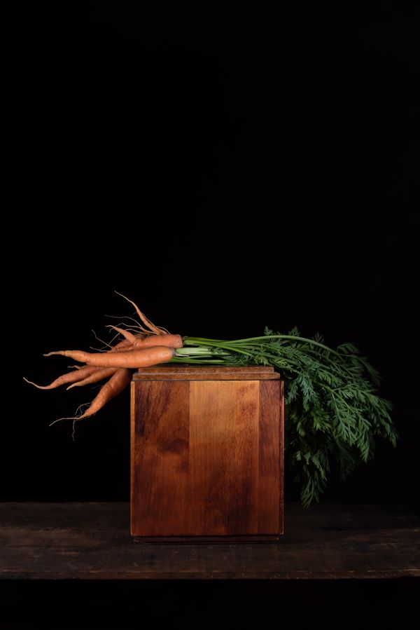 Carrots at Rest