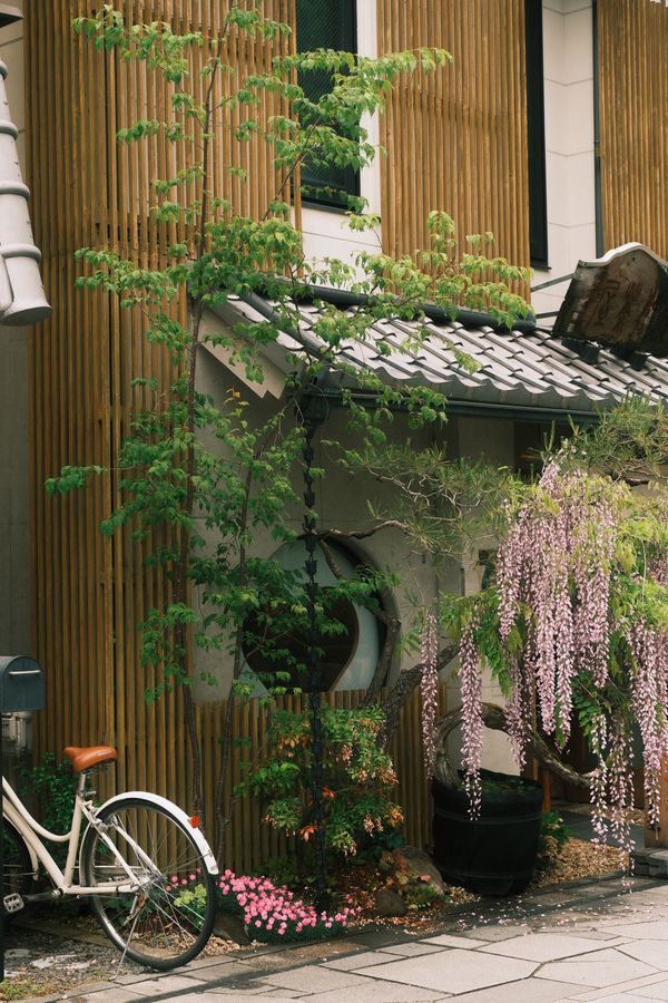Japan Scene