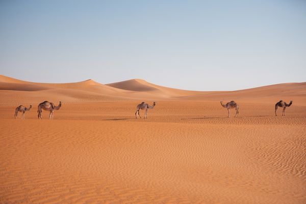 Al Quaa Sands