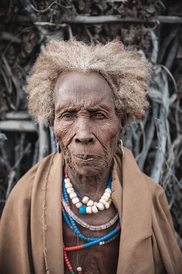 Arbore Matriarch