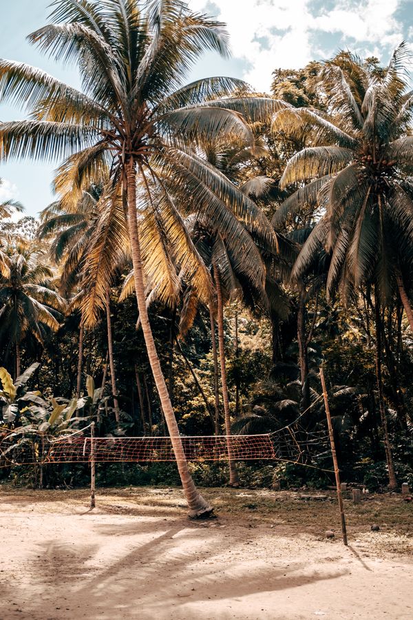 A volleyball court surrounded by palm trees in the Philippines